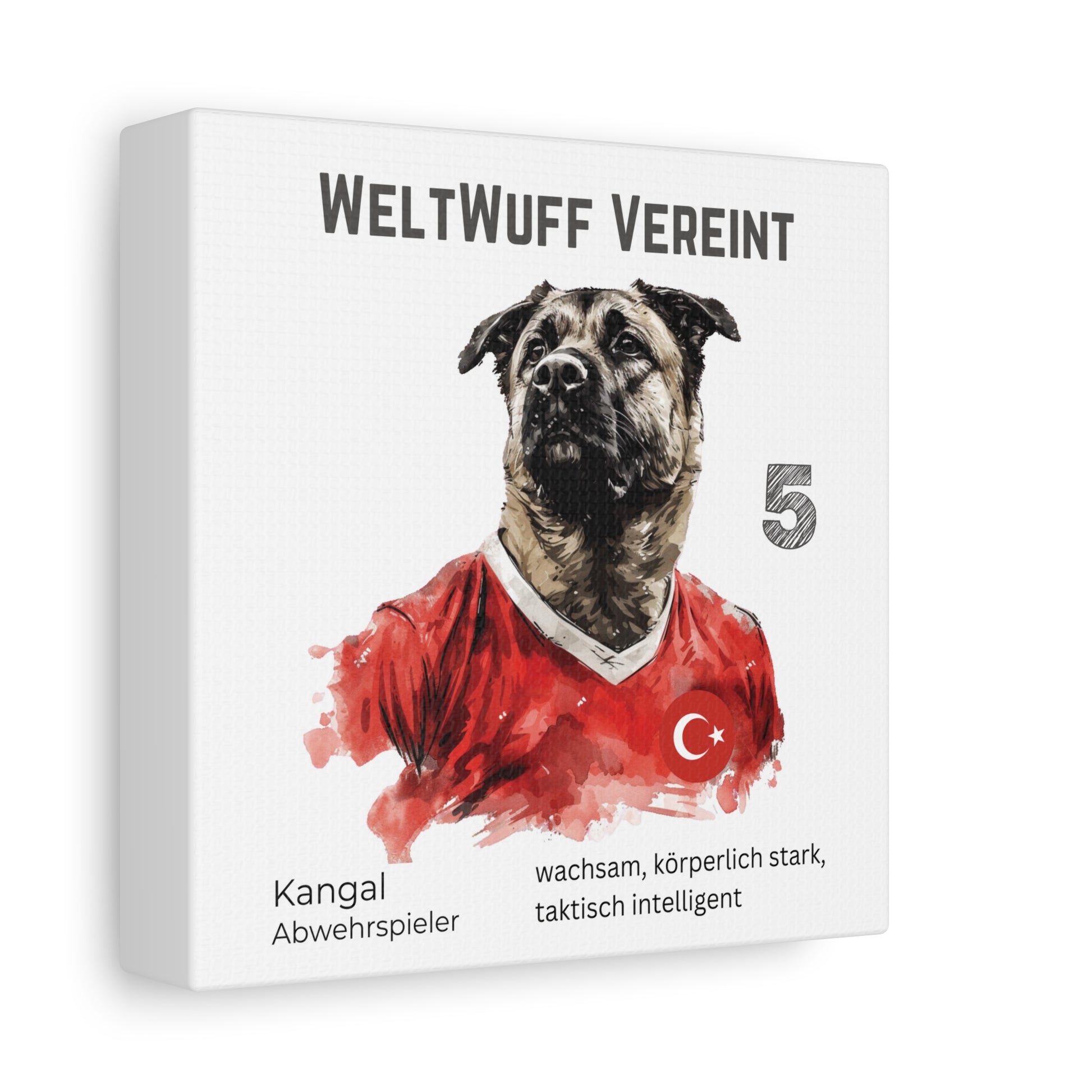 Kangal Portrait im Fußballtrikot Türkiye