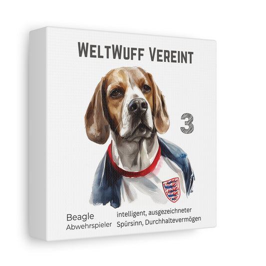 Beagle Portrait im Fußballtrikot England