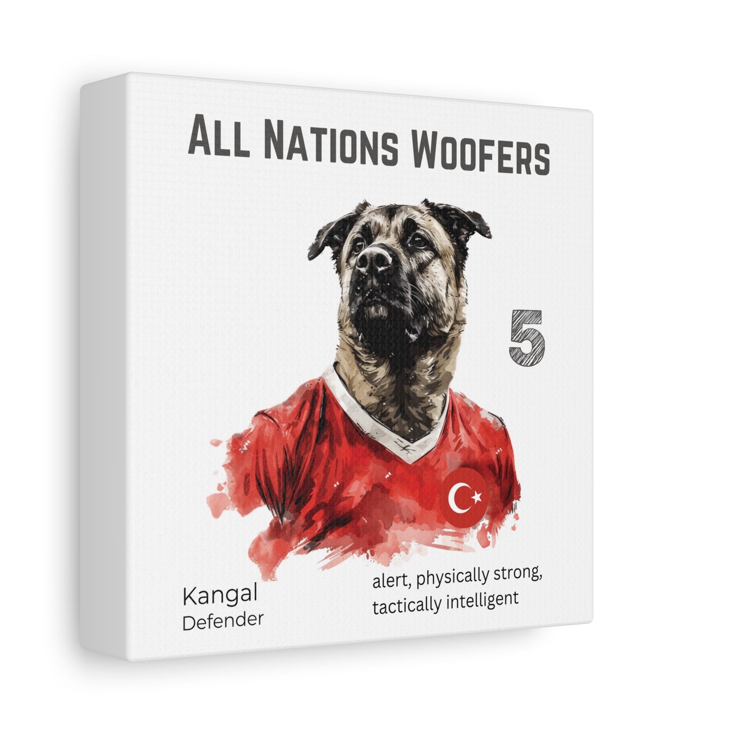 Kangal Portrait im Fußballtrikot Türkiye